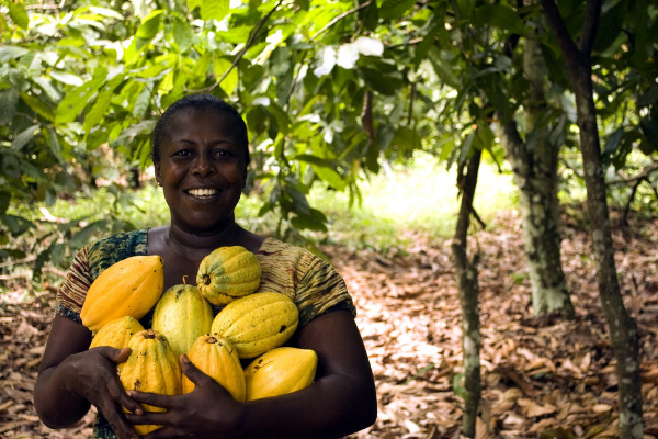 Améliorez vos produits agro-alimentaires pour accéder aux grandes surfaces et aux marchés