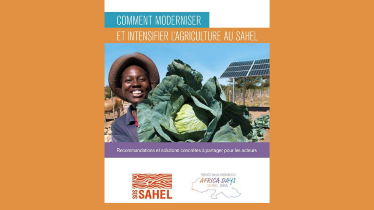Comment moderniser et intensifier l&rsquo;agriculture au Sahel ?