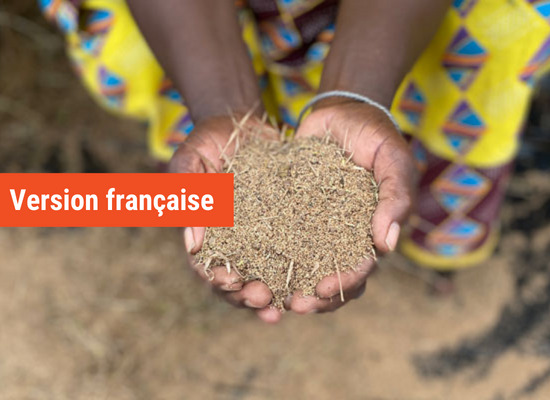 Culture du fonio – français