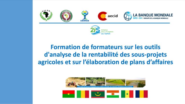 Outils d’analyse de la rentabilité des sous-projets agricoles et élaboration de plans d’affaires