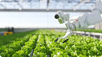 Apprendre en explorant, comprendre en cultivant