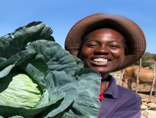 Comment moderniser et intensifier l’agriculture au Sahel ?