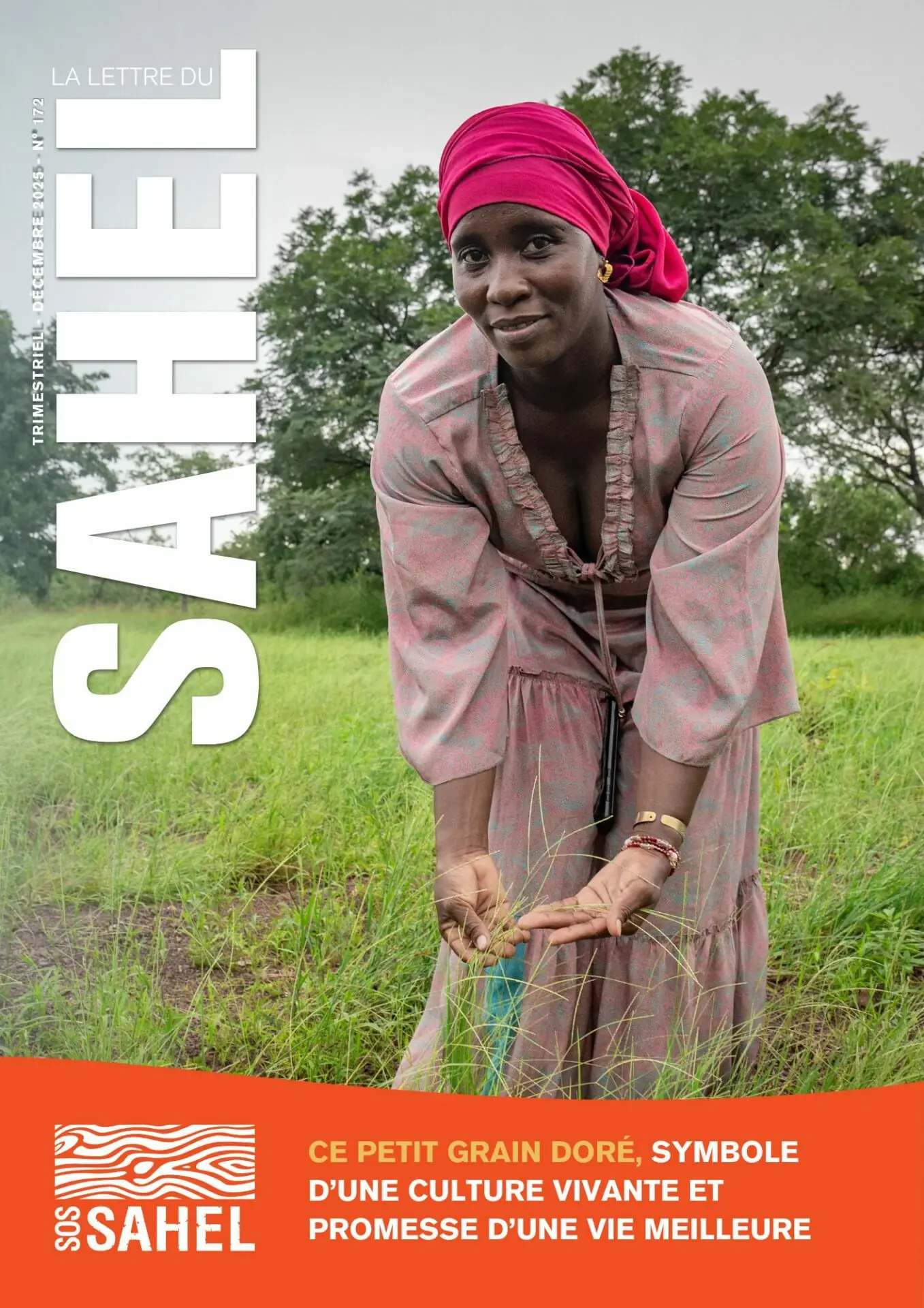 LETTRE DU SAHEL 172 / CE PETIT GRAIN DORÉ, symbole d’une culture vivante et promesse d’une vie meilleure